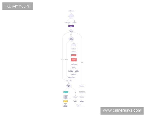 万博maxbetx官网网页登陆：最新安全登录指南与操作流程详解