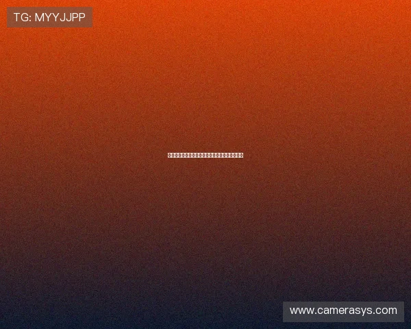 乐天堂官方网站用户注册流程与账户安全保障措施