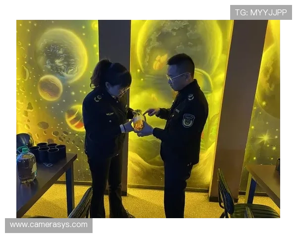 多地警方联合打击ng28娱乐官网非法运营行动取得显著成效