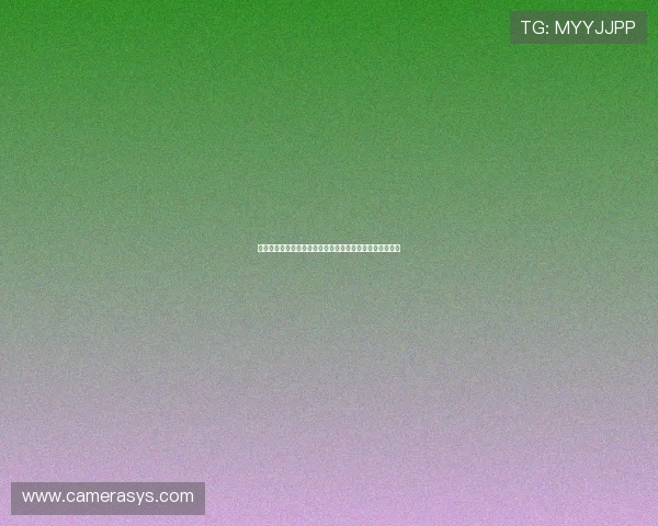 彭博资讯中文网：多角度解读金融市场动态的专业资讯平台