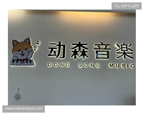 探索音乐天堂官网丰富资源，开启你的专属音乐之旅